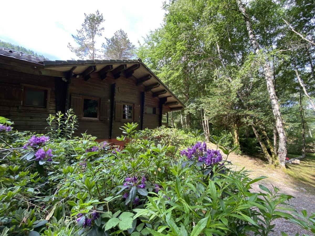 Le Fishing Lodge Chalet En Bois Avec Bain Nordique La Bresse Exterior foto